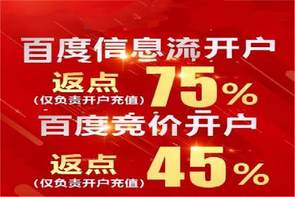 百度竞价赚钱的五大策略及成功案例解读